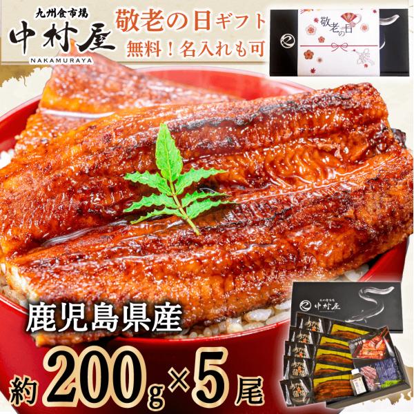 商品情報：うなぎ 蒲焼き 国産 鹿児島県産 鰻 ウナギ 蒲焼 かば焼き 鰻の蒲焼 うなぎ蒲焼き 送料無料 化粧箱 グルメ 特大小倉南、松中醤油との共同開発のオリジナル蒲焼のタレタレのベースは「麹造りに3日、熟成に約730日」かけて作るほどこ...