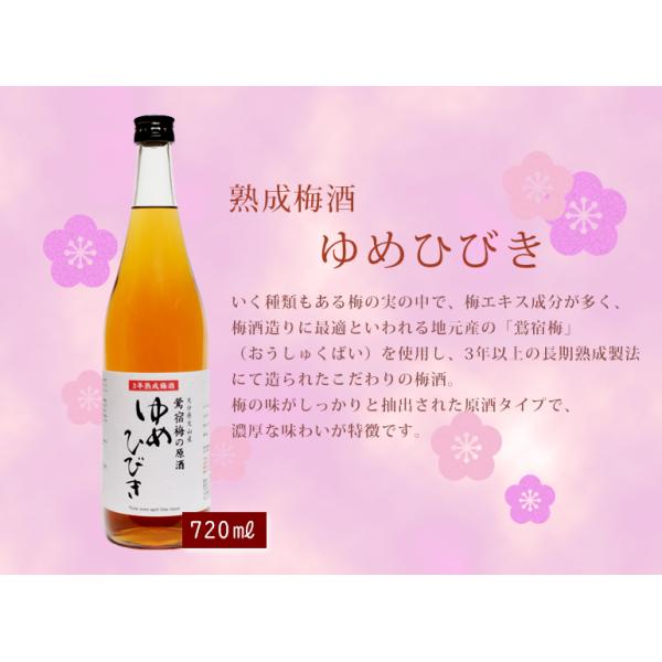 熟成梅酒 ゆめひびき 20° 720ml (箱無し) おおやま夢工房 大分梅酒