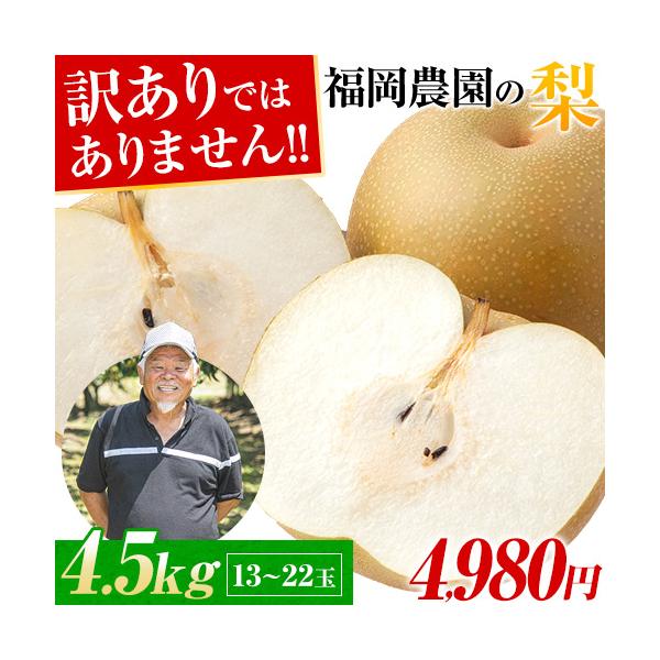 贈答用 梨 4.5kg 前後 6-15玉 送料無料 福岡農園  熊本県産 なし ナシ 秋月 あきづき 吉野梨  訳あり ではありません 9月下旬-10月上旬頃より配送予定