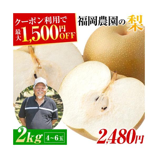 複数購入で最大1,500円OFF 梨 なし 福岡農園 ナシ 秋月 あきづき 吉野梨 2kg前後 4〜6玉 送料無料 熊本県産 9月下旬-10月上旬頃より配送予定