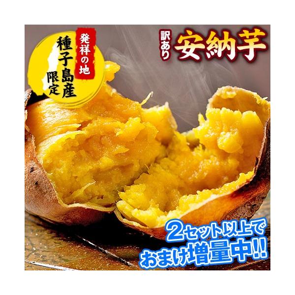 [Release date: January 23, 2024]■名称：さつまいも■産地：鹿児島県 種子島産■内容：種子島産さつまいも1kg■サイズ：大中小サイズ不揃い■賞味期限：1週間〜1ヶ月生ものですのでお早めにお召し上がりください。■...