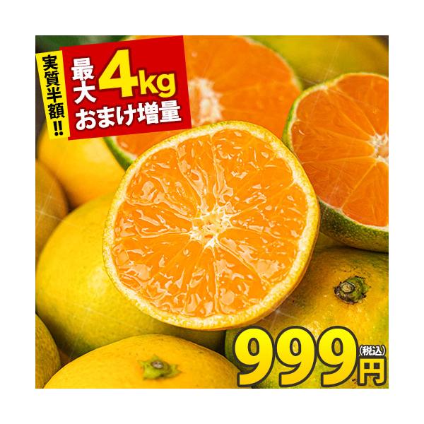 九州産 訳あり みかん 送料無料 1kg おまけ増量 最大 8kg お届け フルーツ 柑橘類 ミカン わけあり  10月中旬-11月上旬頃より発送予定