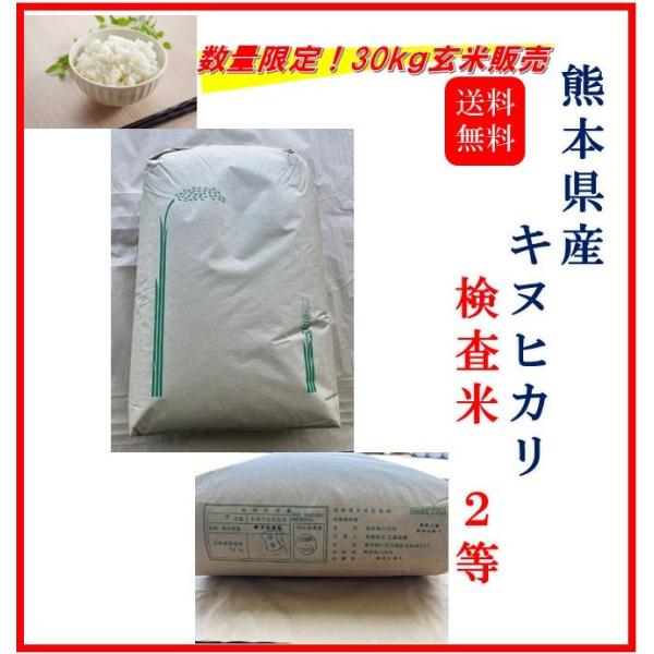 米　お米　３０ｋｇ　熊本県産　キヌヒカリ　玄米　２等　令和７年産　送料無料　