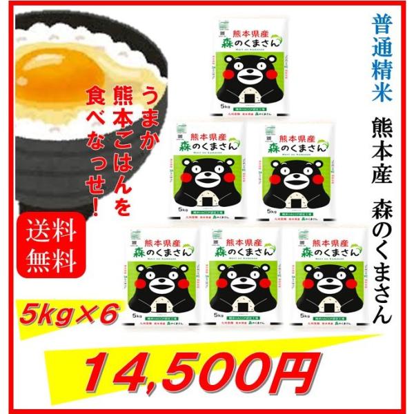 米 お米 30kg（5kg×6） くまモン 熊本県産 森のくまさん