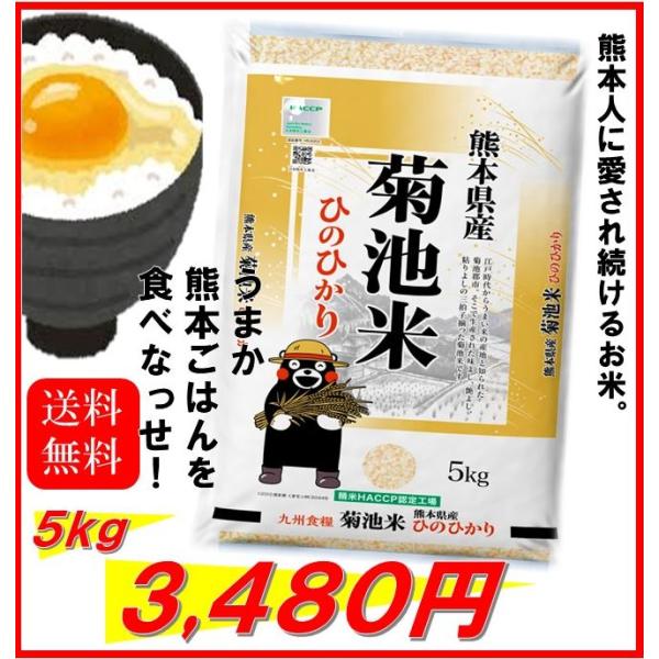 ひのひかり 熊本 菊池 日本遺産 水 おいしい くまモン 送料無料熊本県産菊池米ひのひかり５ｋｇ 令和２年産送料無料 代購幫