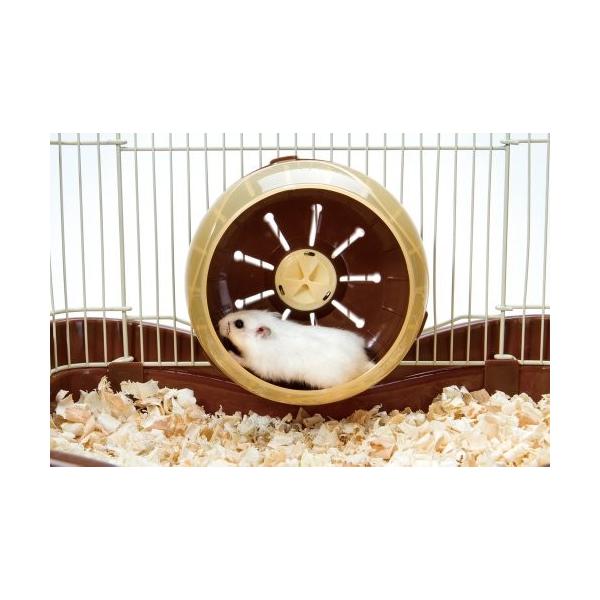 マルカン バナナチョコハウス ハムスター用 Www Legheleggere Com