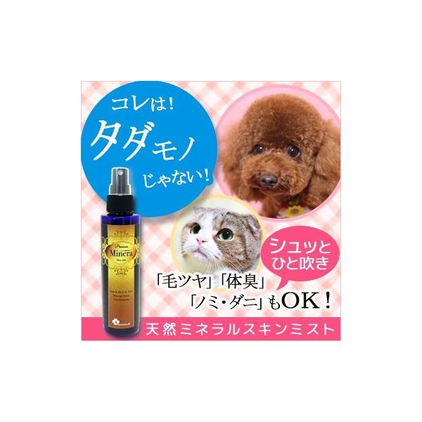 ̏L  L ybgPA minera ~l XL~Xg ѕ݉P _jh~ {