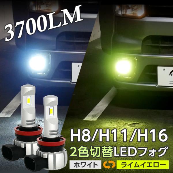 l-c_gv-cc-ly-h11-0010