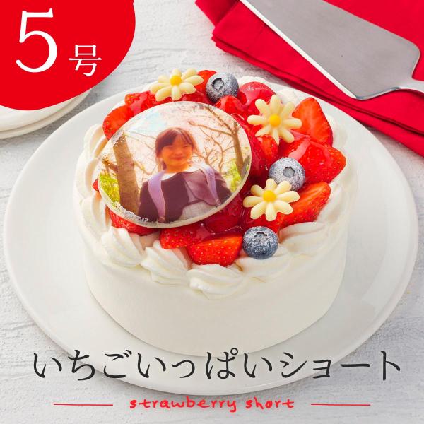 誕生日やお祝いには写真ケーキ●商品情報・商品名：いちごいっぱいショート・5号-直径15cm※ロウソク5本入1袋別添●原材料原材料：いちご, ブルーベリー,ラズベリー, 生クリー ム, 砂糖, 卵, 小麦粉, はちみつ,マーガリン, 牛乳,ゼ...