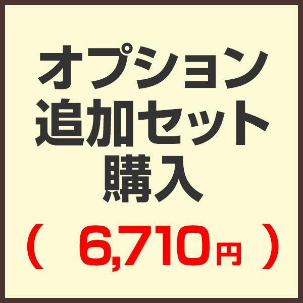 オプション追加セット購入ページ （セットで購入済みの為こちらから 