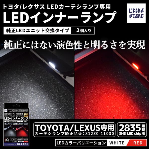 l-echo-store_e-ltc01wr