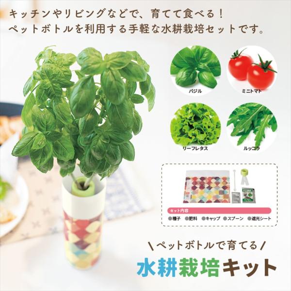 ペットボトルで育てる水耕栽培キット 100個単位販売 ノベルティ 販促品
