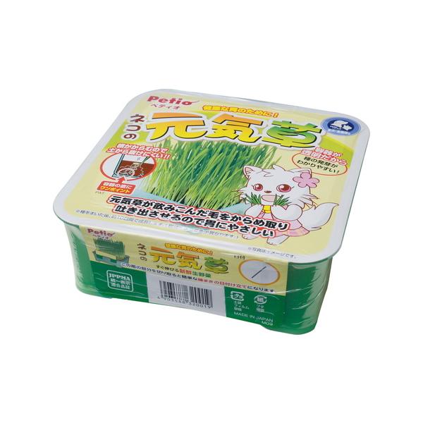 他サイト： P-4903588320019 ペティオ ネコの元気草 猫草の商品画像