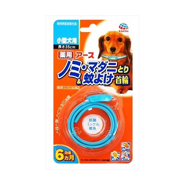 P-4994527745208 A[XEybg  A[Xpm~Ƃ聕悯ց@^p