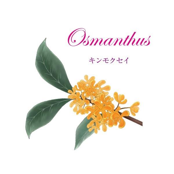 ランプベルジェ対応 シャルティエ キンモクセイ 100ml【A1103】アロマオイル お試し メゾンベルジェ対応