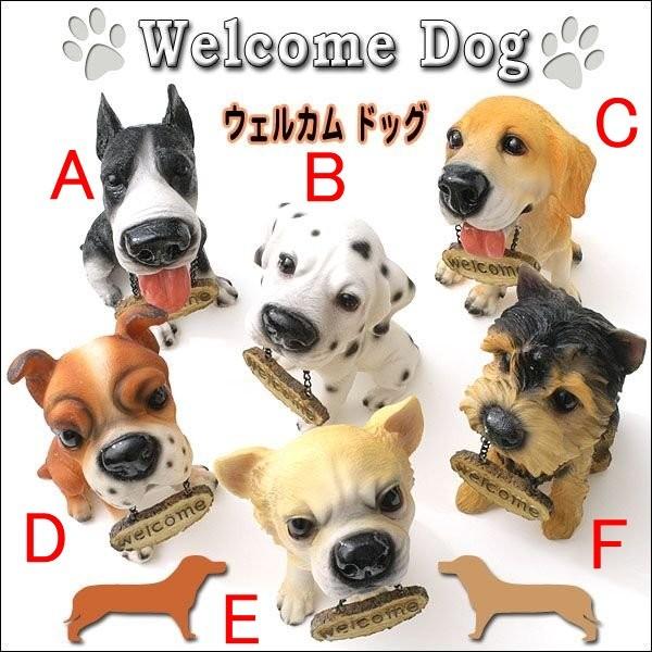 EFJhbOEWELCOME DOG􈤛gՂI񂪂o}I
