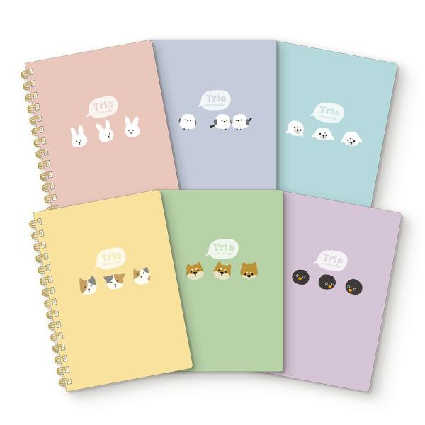 まとめノートセット まとめノートセット X-ZONE | 日本ノート株式会社