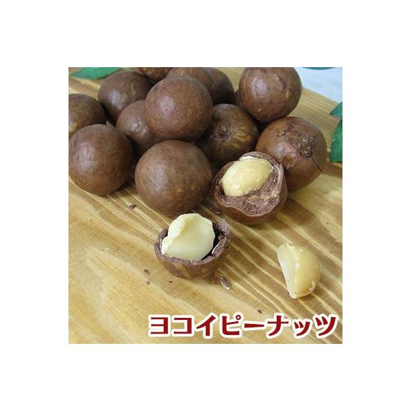 kt }J_~Aibc 500g [Xg kʔ RCs[ibc É