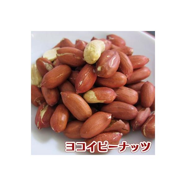 自社工場でローストした無塩の渋皮付きピーナッツです。ピーナッツは、ポリフェノール、リノール酸、オレイン酸、レシチン、ビタミンB1・B2・Eを含む、体に優しい健康食品。自然の甘さ、香ばしさ、コクをお楽しみください！そのままお召し上がりできます...