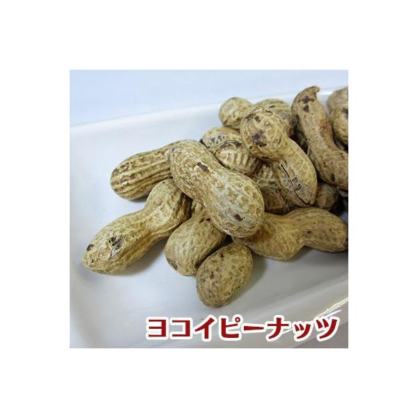 【落花生】1kg ピーナッツ さや付 殻付き【ヨコイピーナッツ名古屋】
