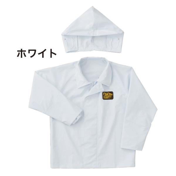 OiS {ngp Jbp t YH JH ㍇H u] h݌v ϊz }tH[hMFV501 zCg