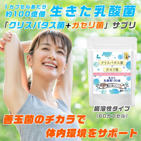 クリスパタス菌＋ガセリ菌 腸溶性カプセル 生きた乳酸菌100億 60