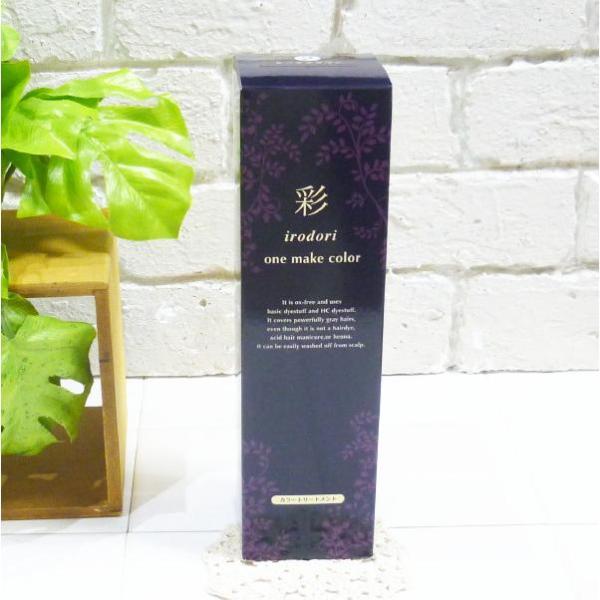 IRIYA COSMETICS イリヤコスメティクス　彩 ONEメイクカラー 250g　＜カラートリートメント＞