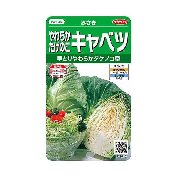 サカタのタネ 実咲野菜2010 やわらかたけのこキャベツ みさき 00922010