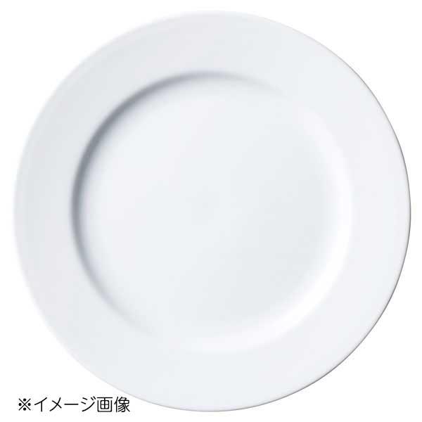 桐井陶器 モデルノ MODERNO Colorado(コロラド) 玉渕6.5ミート皿 48-55