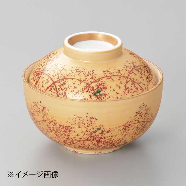 金彩むさしの煮物碗