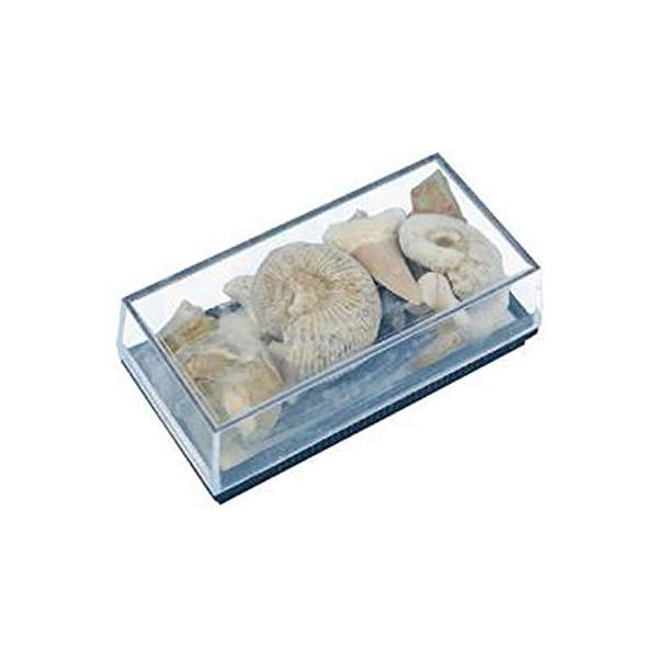 ◆ 当店は紙での領収書の発行は行っておりません◆ 初期不良は、1週間以内にご連絡下さい。それ以降の対応は出来ませんので、ご注意下さい。◆ 初期不良以外の故障は、メーカーにお問合せ下さい。【商品概要】アンモナイトやサメの歯などの人気の化石の中...