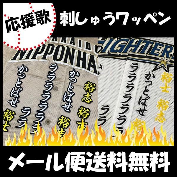 メール便送料無料 納期注意 日本ハムファイターズ 刺繍ワッペン 飯山 応援歌 飯山裕志 ユニフォーム 日ハム ファイターズ 刺しゅう ワッペン Sg Laconquete ぷらす 通販 Yahoo ショッピング