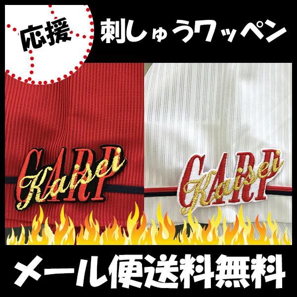 yy[֑z[ӁyLJ[v hJby CARP kaisei ] z]C//jtH[/J[v/D/LmJ[v/hイ