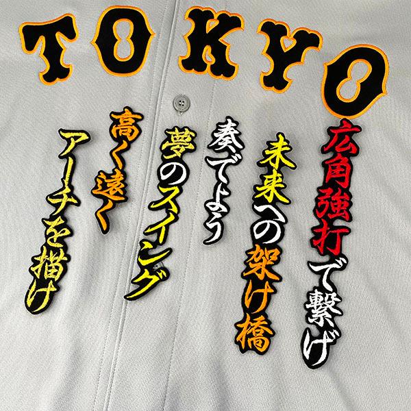 メール便送料無料【読売ジャイアンツ 刺繍ワッペン 廣岡 応援歌】廣岡