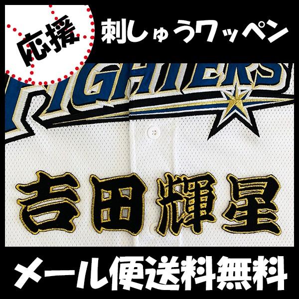 野球観戦グッズ 日本ハムファイターズの人気商品 通販 価格比較 価格 Com