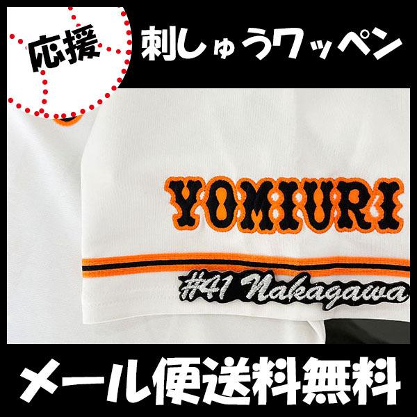 yy[֑z[ӁyǔWCAc hJby  #41 io[zᩑ/jtH[/ǔlR/Giants