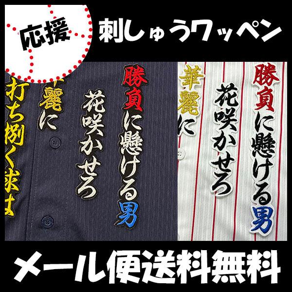 メール便送料無料 納期注意 東京ヤクルトスワローズ 刺繍ワッペン 内川 応援歌 内川聖一 プロ野球 刺繍 刺しゅう ワッペン 応援グッズ Sg N Laconquete ぷらす 通販 Yahoo ショッピング