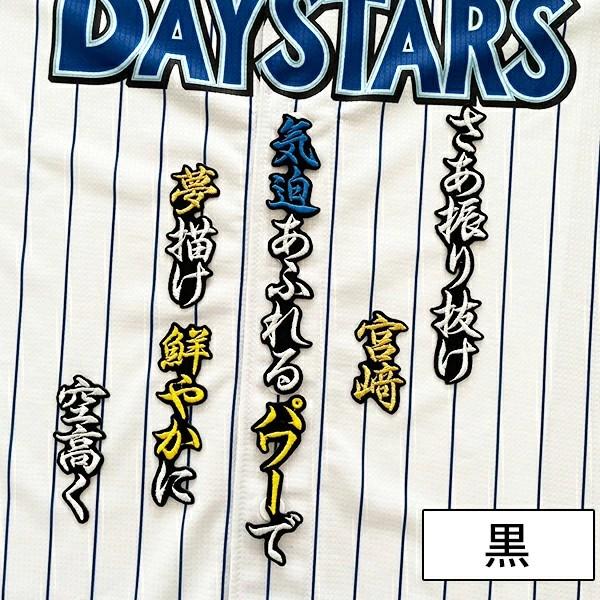 メール便送料無料】横浜 DeNA ベイスターズ 刺繍ワッペン 宮崎 応援歌