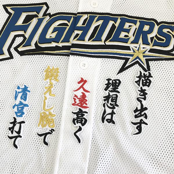 メール便送料無料】北海道 日本ハム ファイターズ 刺繍ワッペン