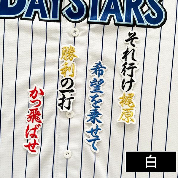 メール便送料無料】横浜 DeNA ベイスターズ 刺繍ワッペン 梶原 応援歌