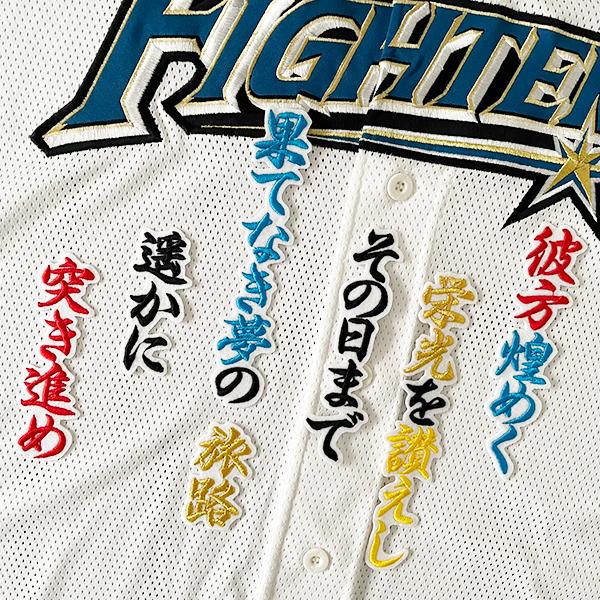 納期注意】北海道 日本ハム ファイターズ 刺繍ワッペン 水野達稀 応援