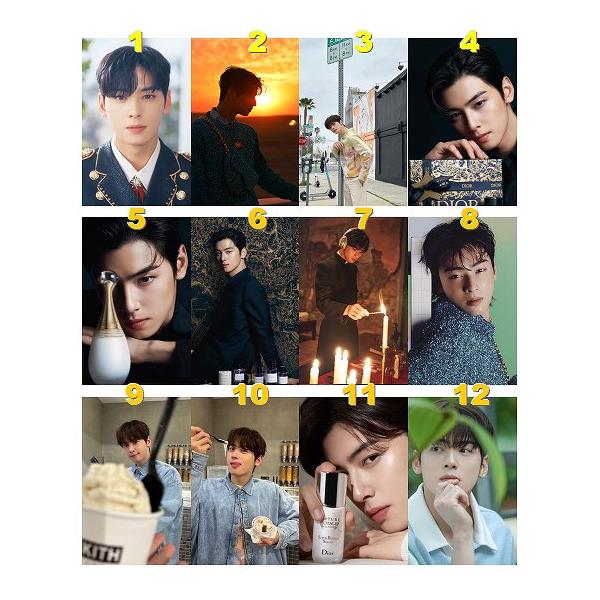 韓流グッズ☆チャウヌ☆トレカ風フォトカード #chaeunwoo #悪女