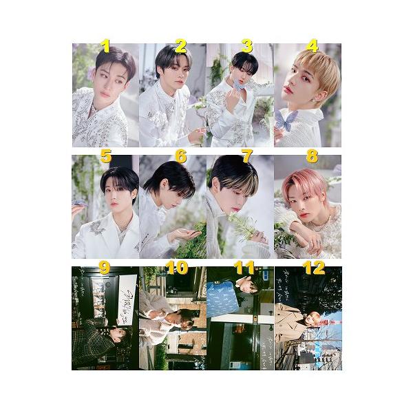 lady-shop_straykids-t-card-6- lady-shop_straykids-t-card-6-