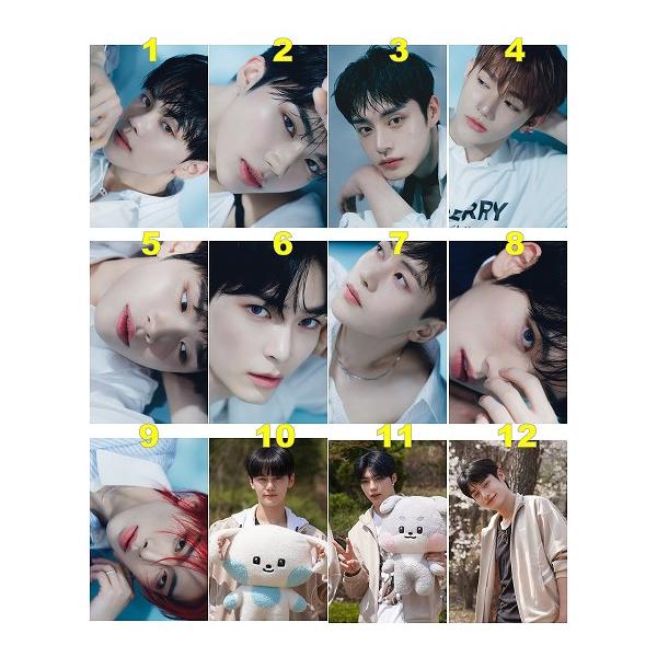 lady-shop_zb1-t-card-18 lady-shop_zb1-t-card-18