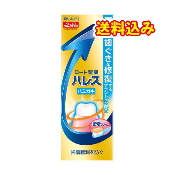 【医薬部外品】ハレス　ハミガキ　メディカルハーブの香味　50g