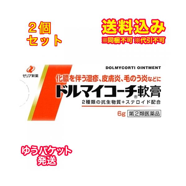 ゆうパケット）【第(2)類医薬品】ドルマイコーチ軟膏　6g×2個
