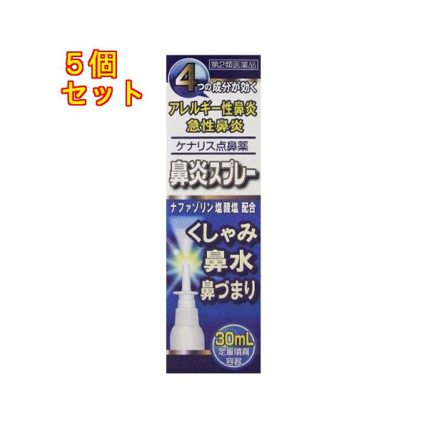 他サイト： 【第2類医薬品】ケナリス点鼻薬　30ml【セルフメディケーション税制対象】×5個の商品画像