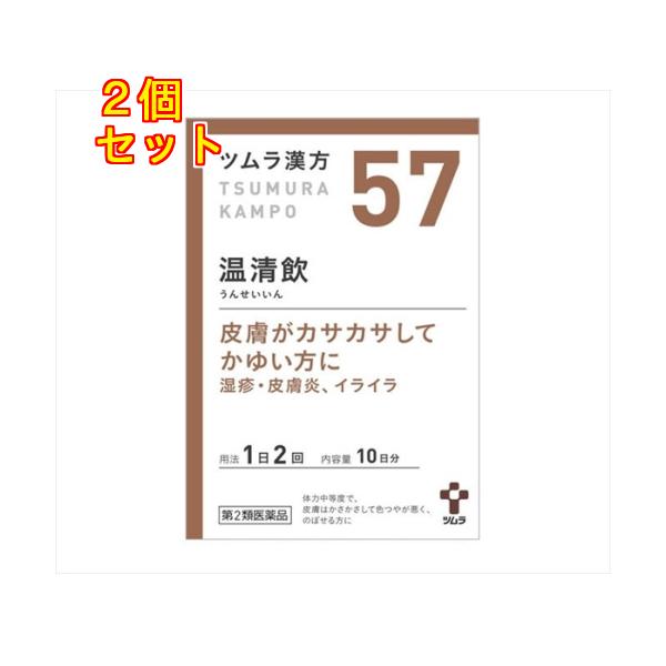 【第2類医薬品】ツムラ漢方　温清飲エキス顆粒　20包×2個【57】