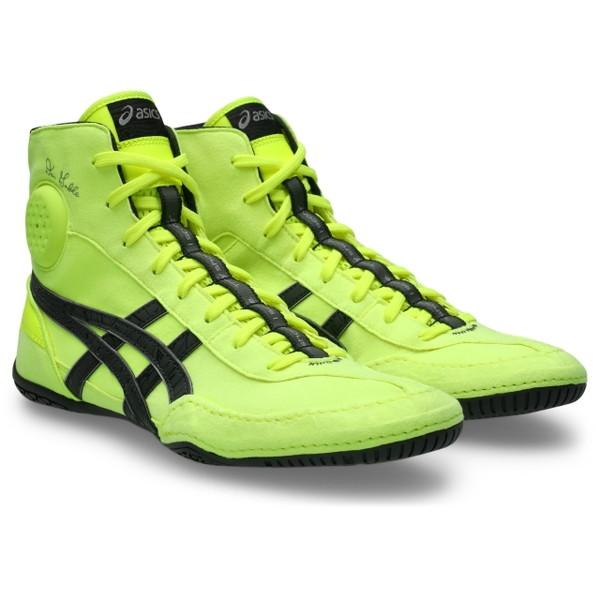 アシックス asics レスリング シューズ DAN GABLE EVO 3 標準幅 2E相当 メンズ 1081A052-750