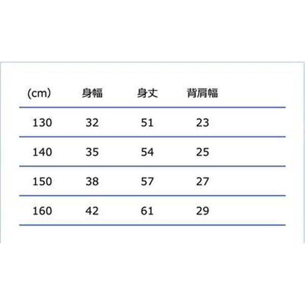 CONVERSE �R���o�[�X �K�[���Y�Q�[���C���i�[�V���c �o�X�P�b�g �A���_�[�V���c CB431701 �W���j�A �K�[���Y �z�� ���� UV�J�b�g ���i�摜2
